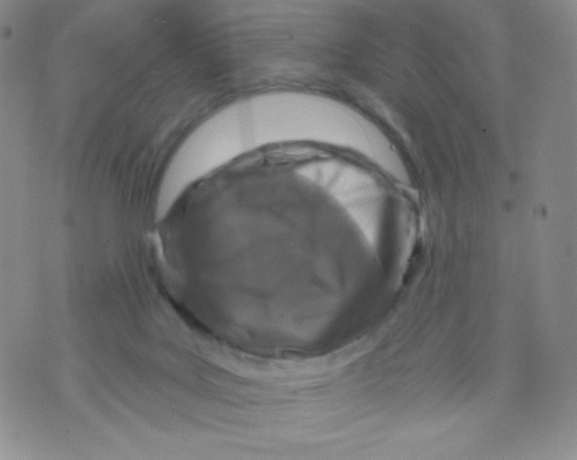 X0000071850027200607211903