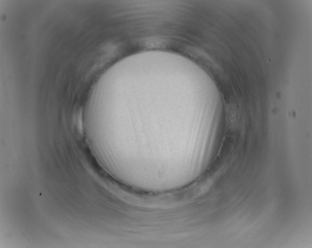 X0000071850028200607211903