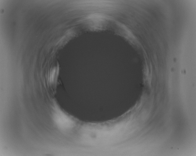 X0000071850029200607211903