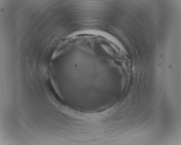 X0000071850031200607211903