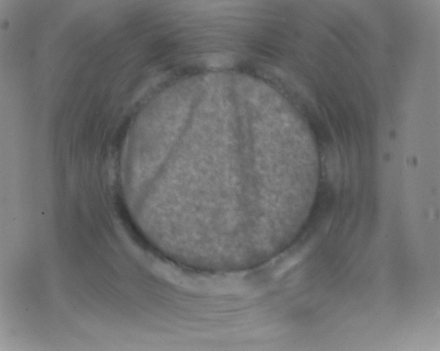 X0000071850032200607211903