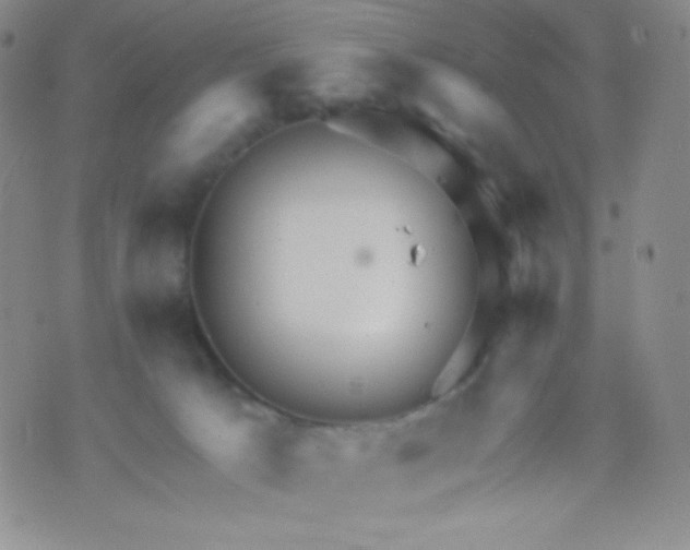 X0000071850033200607211903