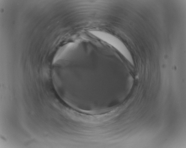 X0000071850035200607211903