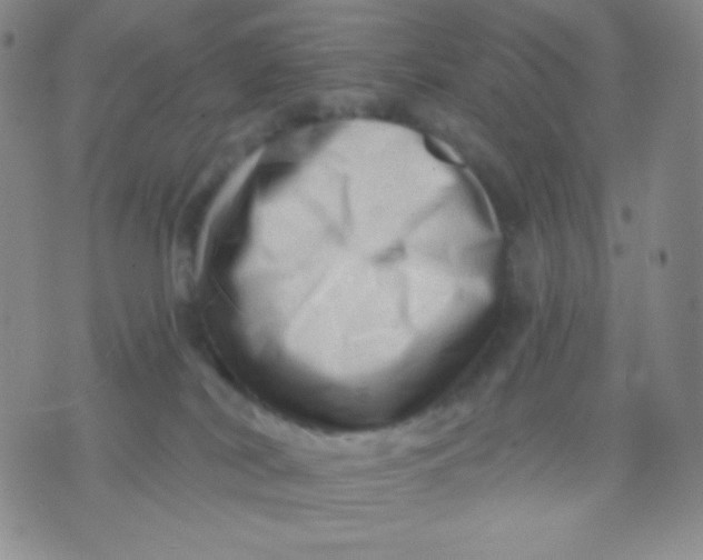 X0000071850038200607211903