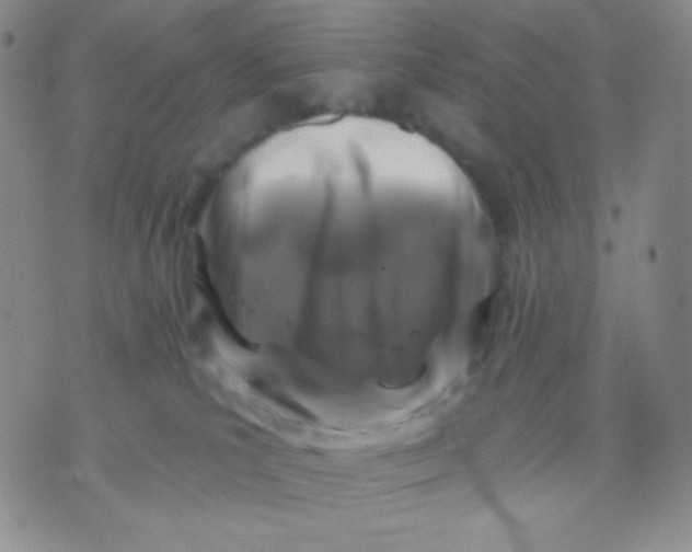 X0000071850039200607211903