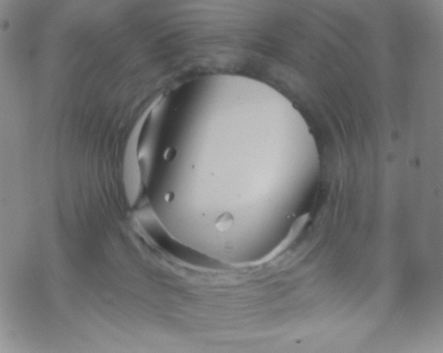 X0000071850040200607211903