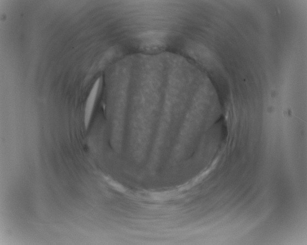 X0000071850041200607211903