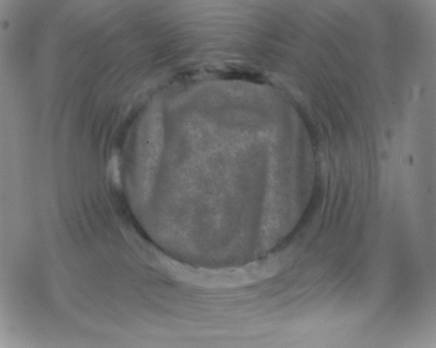 X0000071850042200607211903