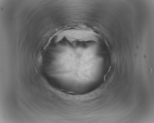 X0000071850043200607211903