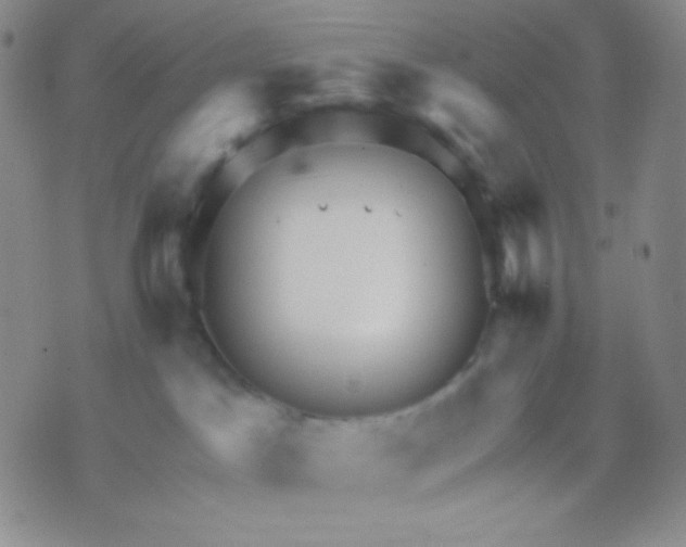 X0000071850045200607211903