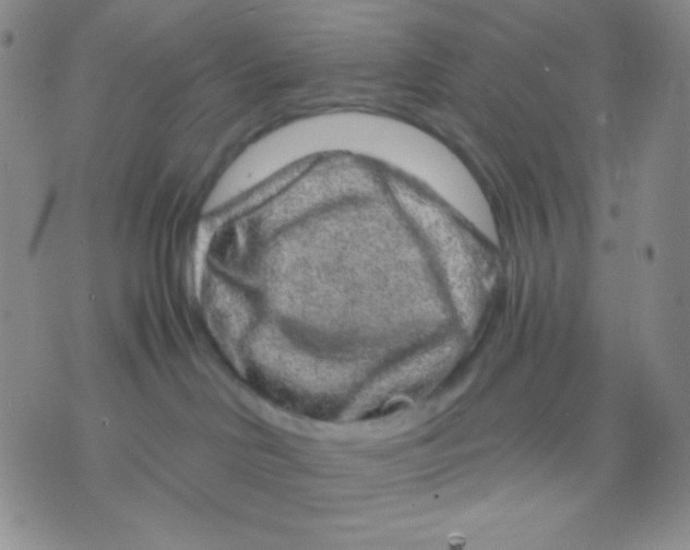 X0000071850046200607211903