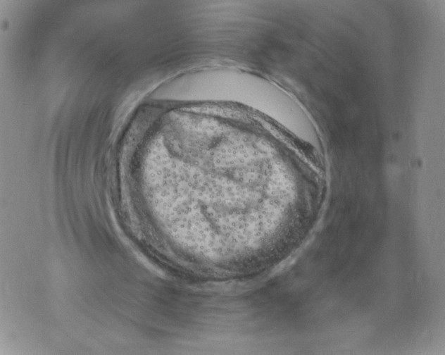 X0000071850049200607211902