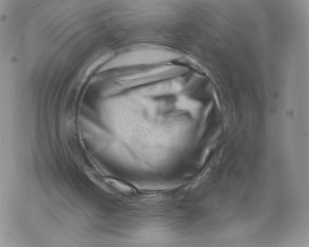 X0000071850050200607211902