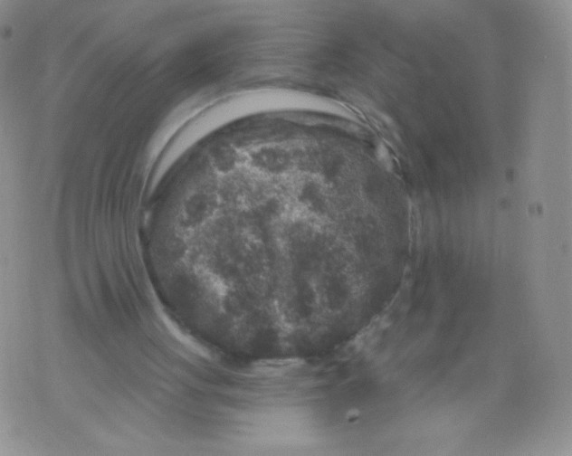 X0000071850051200607211902