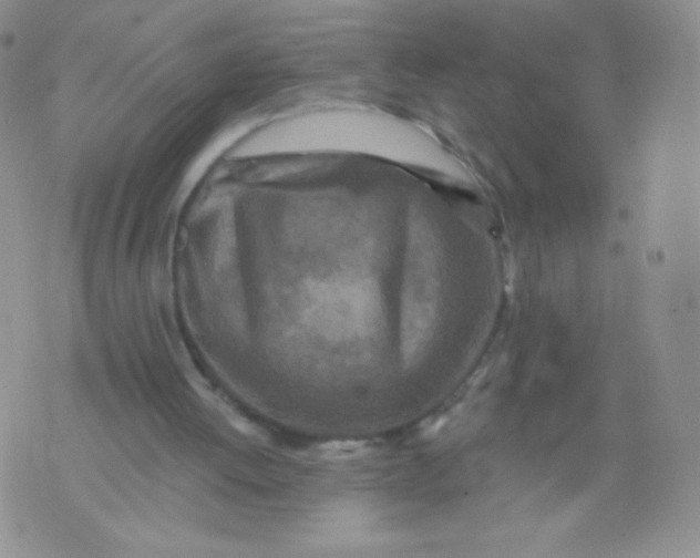 X0000071850052200607211902