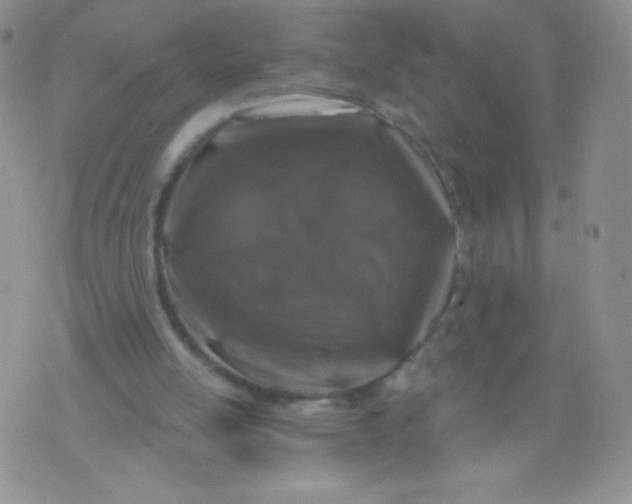 X0000071850054200607211902