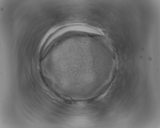 X0000071850056200607211902