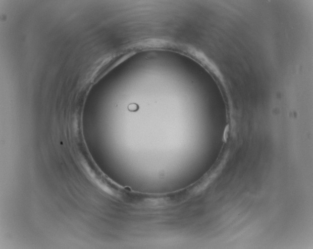 X0000071850057200607211902