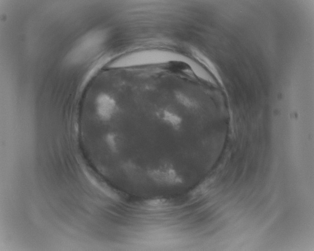 X0000071850059200607211902