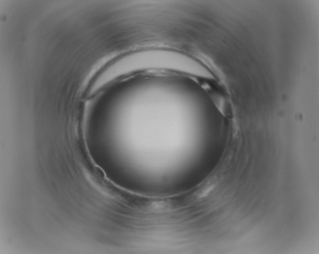 X0000071850060200607211902