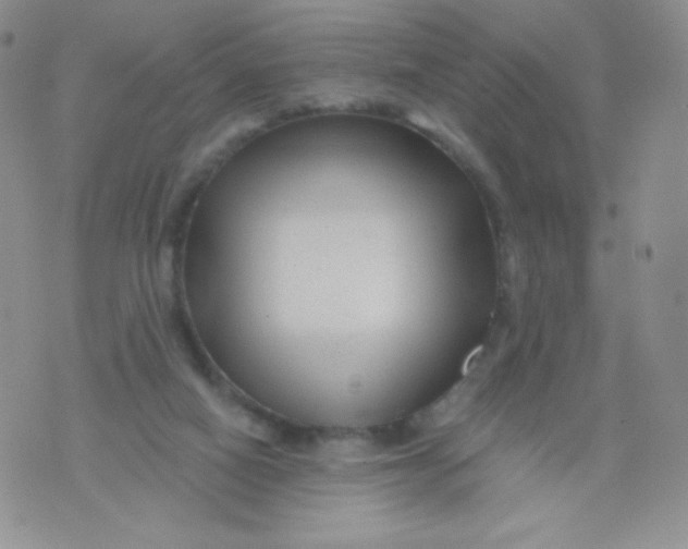 X0000071850066200607211902