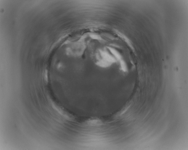 X0000071850067200607211902