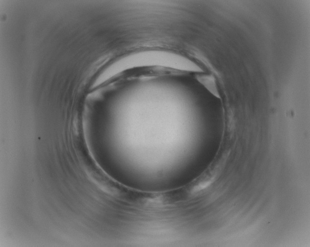 X0000071850068200607211902