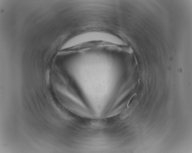 X0000071850070200607211902