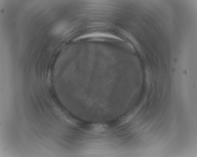 X0000071850073200607211903