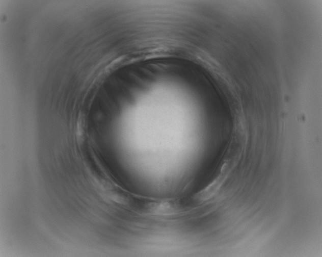 X0000071850074200607211903