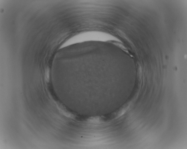 X0000071850076200607211903