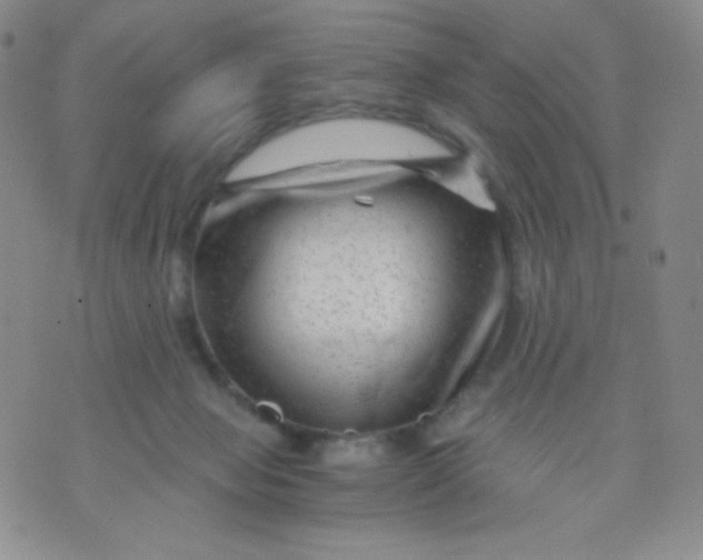 X0000071850077200607211903