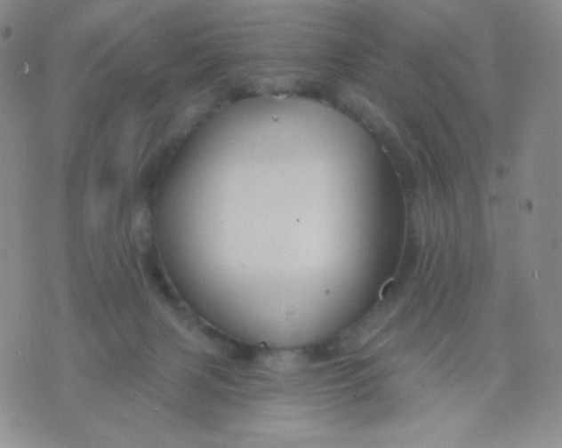 X0000071850079200607211903