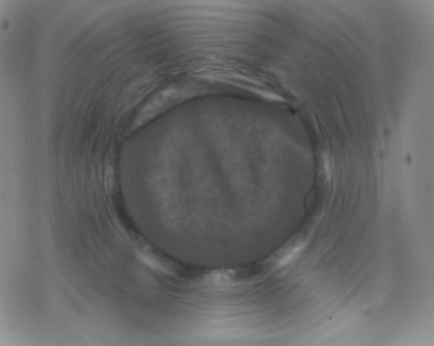 X0000071850080200607211903