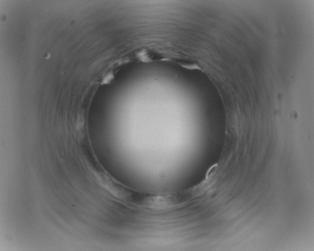 X0000071850082200607211903