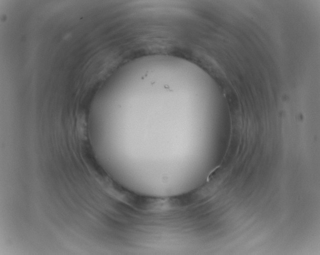 X0000071850083200607211903