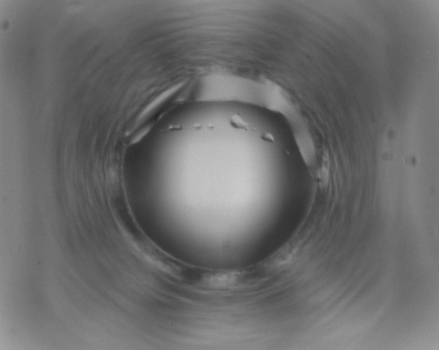 X0000071850084200607211903