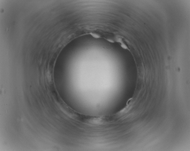 X0000071850086200607211903