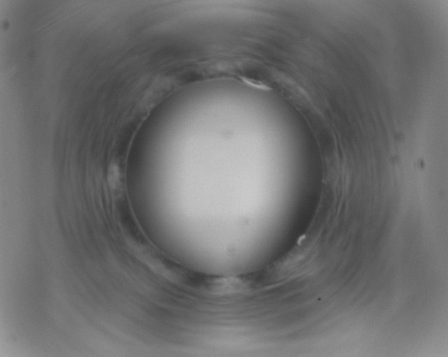 X0000071850087200607211903