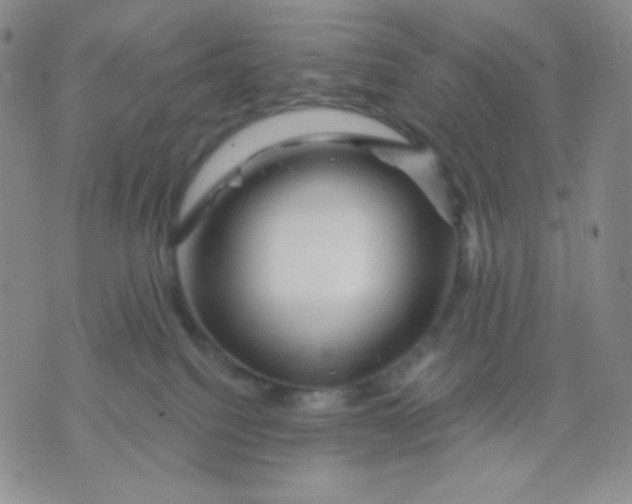 X0000071850088200607211903