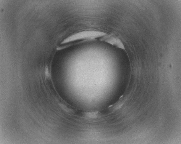 X0000071850089200607211903