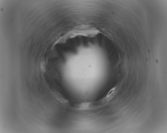 X0000071850090200607211903