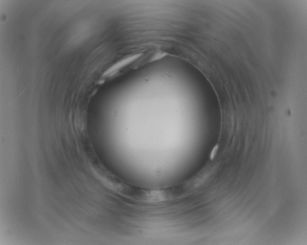 X0000071850091200607211903