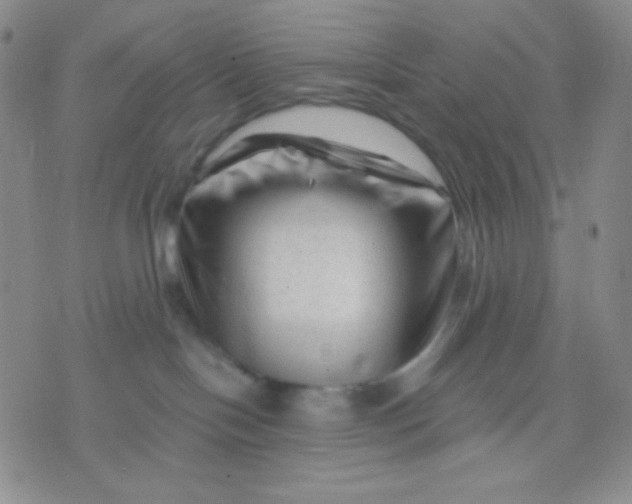 X0000071850094200607211903