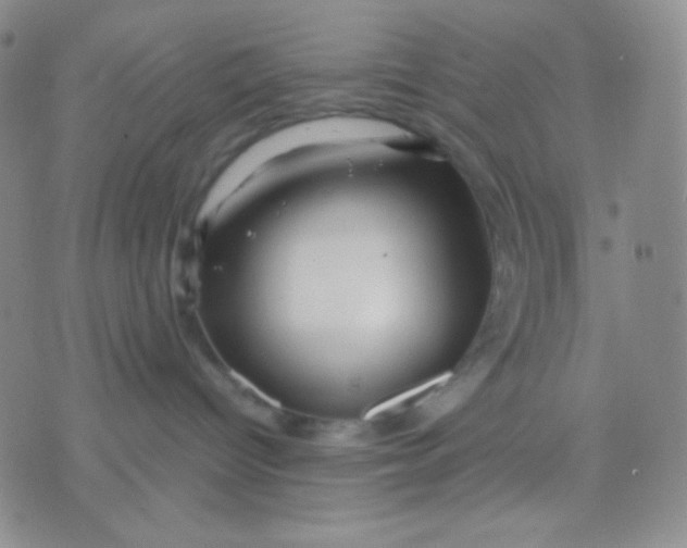 X0000071850096200607211903