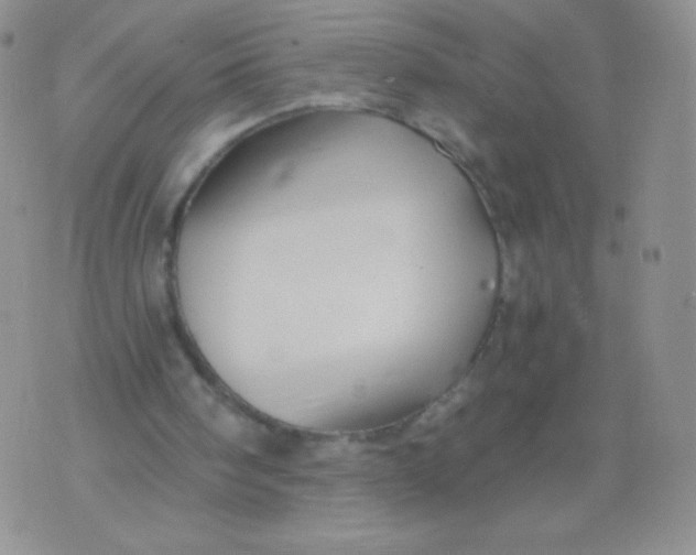 X0000071850098200607211902