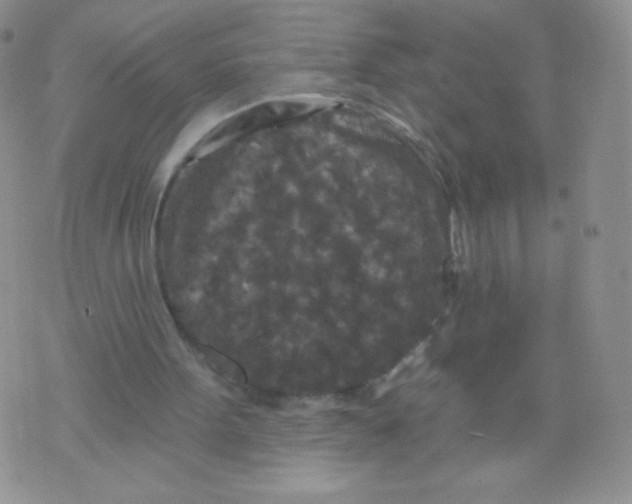 X0000071850099200607211902