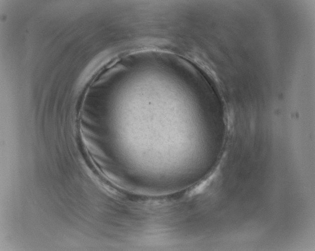 X0000071850101200607211902