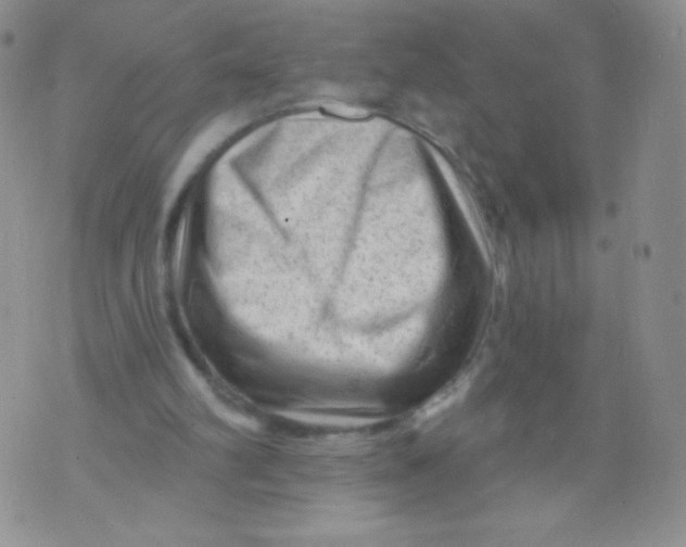 X0000071850102200607211902