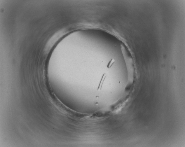 X0000071850103200607211902